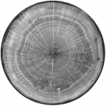 Taldrik prae RAK Woodart, &Oslash; 24 cm, hall v.
