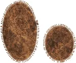 Vannitoamattide komplekt Foutastic COTTONKT000531, pruun v., 100 cm x 60 cm