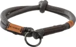Kaelarihm koertele Trixie Be Nordic, hall v., 500 mm x 13 mm, L