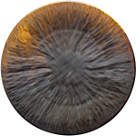 Taldrik prae Verlo Fire, &Oslash; 28.5 cm, pruun v.