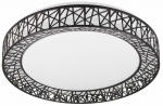 Valgusti lagi Reality Cluster R67321102, LED, 2700 - 6500 &deg;K, 1 x 40 W, valge v./must v., 48 x 48 cm