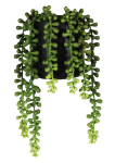 Kunsttaim potis Splendid Sedum, roheline v., 24 cm
