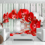 Fototapeet Artgeist Ruby Orchid, 70 cm x 100 cm