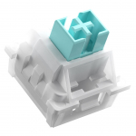 Klahvinupud Glorious Lynx HE, valge