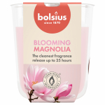 K&uuml;&uuml;nal, l&otilde;hna Bolsius Blooming Magnolia, 25 h, Roosa v.