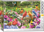 Pusle Eurographics Garden Birds 8220-6134, 96.8 cm x 67.6 cm, 2000 tk, mitmev&auml;rviline