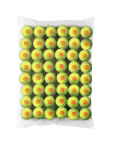 Tennisepallide komplekt Wilson STARTER ORANGE 48 WRT13730B, kollane/oranž, 48 tk