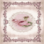 Vaip Conceptum Hypnose EEXFAB645, roosa/beež, 120 cm x 80 cm