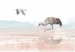 Fototapeet Artgeist Cranes Over The Water, 70 cm x 100 cm