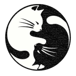 Vaip sise Conceptum Hypnose Eugene V3 4660, valge v./must v., 160 cm x 160 cm