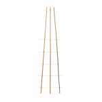 Taimetugi Garden Center, 3 cm x 50 cm, 150 cm, bambus