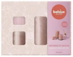 K&uuml;&uuml;nalde komplekt, l&otilde;hna Bolsius Whispers of Bloom Magnolia, 4 tk, Roosa v.