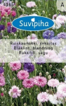 Seemned Horticom rukkilill, 1 g