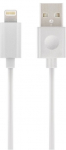 Juhe Forever GSM015229, USB/Apple Lightning, 100 cm, valge