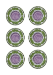 Hermia PRC0012, valge v./lilla v./roheline v.