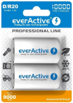 Laetav aku Everactive, 2 tk