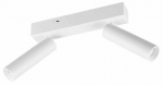 Valgusti lagi Trio Ambala 849210231, LED, 2300 - 4000 &deg;K, 2 x 5.5 W, valge v.