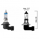 Autopirn Flosser, Halogeenlamp, l&auml;bipaistev, 12 V