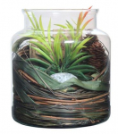 Dekoratsioon Kayoom Flora 810 KPDW7, 18 cm, pruun/roheline