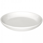 Lillepotialus Domoletti 5906750949505, valge, 13 cm