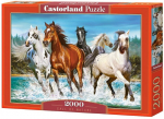 Pusle Castorland Call Of Nature 2000 el. C-200702-2, 2000 tk