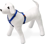 Koerte traksid Beeztees, sinine v., 450 - 700 mm x 20 mm, 45-70