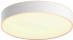 Nutivalgustus lagi Philips Hue Devere M, LED, 2200 - 6500 &deg;K, 1 x 19.2 W, valge v. / valge v.