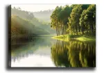 Pilt Wallity Canvas Painting 114, 100 cm x 70 cm