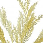 Kunstoks Mondex Viridis, roheline, 80 cm