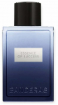 Tualettvesi Antonio Banderas Essence of Success, 100 ml