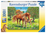 Pusle Ravensburger Horses 105779, 49 cm x 36 cm, 100 tk, mitmev&auml;rviline