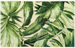 Vaip sise Contrast Jungle 04, mitmev&auml;rviline, 220 cm x 150 cm