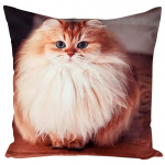 Dekoratiivpadjap&uuml;&uuml;r Mariall JCL-661, pruun, 40 cm x 40 cm