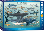 Pusle Eurographics Sharks 6000-0079, 67.6 cm x 48.9 cm, 1000 tk, mitmev&auml;rviline