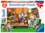 Pusle 3in1 Ravensburger Cats 05013, 18 cm x 18 cm, 147 tk, mitmev&auml;rviline