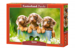 Pusle Castorland Cute Dachshunds 500 el. B-53605, 33 cm x 47 cm, 500 tk, mitmev&auml;rviline