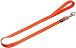 Koera rihm Beeztees, oranž v., 1 m x 25 mm