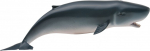 M&auml;ngukujuke Collecta Pygmy Sperm Whale 88653, 15.2 cm, sinine v.