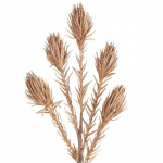 Kunsttaim Flore 721, kuldne, 82 cm