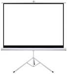 Projektoriekraan Sponge Silelis Tripod, 1:1