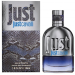 Tualettvesi Roberto Cavalli Just Cavalli Him, 30 ml