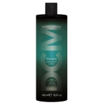 &Scaron;ampoon Diapason Dry & Brittle, 1000 ml