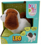 M&auml;nguloom koer Pugs At Play Leo, pruun v./valge v.