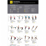 Keha painduvustreeningu plakat TRX Poster V2 All Body Flexibility, 86 cm