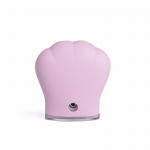 N&auml;ohooldusseade IDC Institute Skin Cleansing Brush