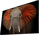 Seinadekoor Wallity, 4570mdact-017, 70 cm x 45 cm