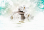 Fototapeet Artgeist Heavenly Peace, 70 cm x 70 cm