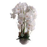 Kunstlilled vaasis, orhidee Home4you Garden Queen, valge v., 102 cm