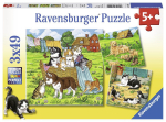 Pusle 3in1 Ravensburger Cats & Dogs 080021, 18 cm x 18 cm, 147 tk, mitmev&auml;rviline