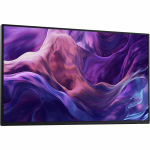 Monitor Dell P2425H, IPS, 100 Hz, HD, 24" (kahjustatud pakend)
